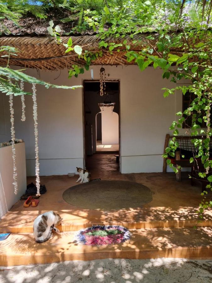 Sunny House Paje Hotel Exterior photo